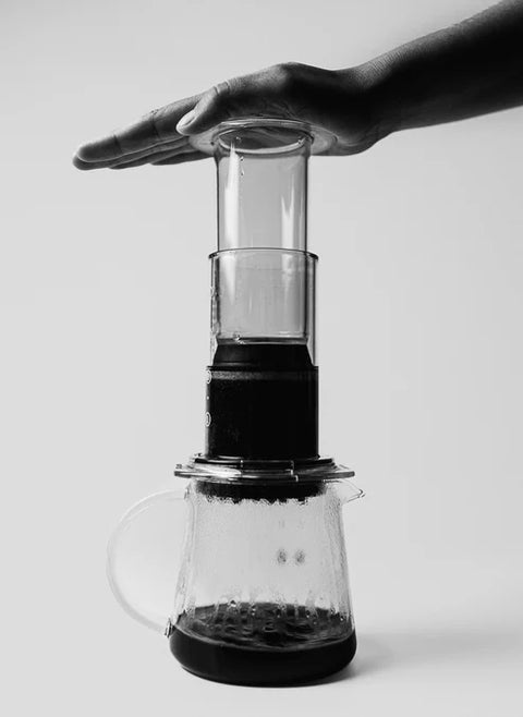 DISC 63 FAST - Filtre pour méthode d'immersion Sibarist