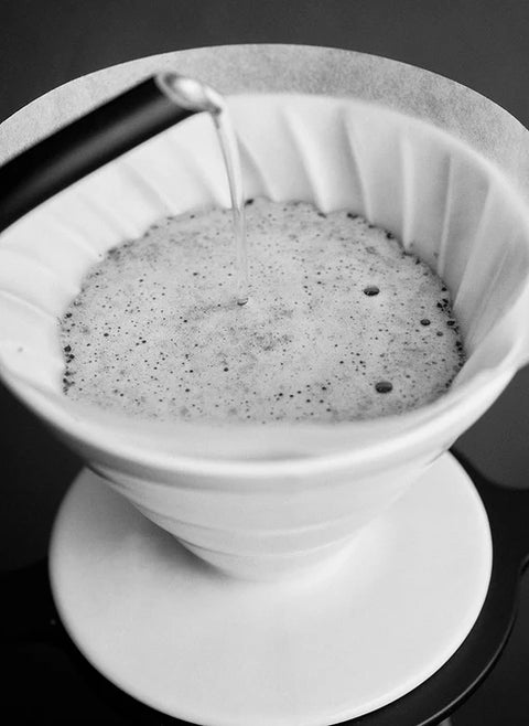 CONE FAST - Filtre V60 Sibarist